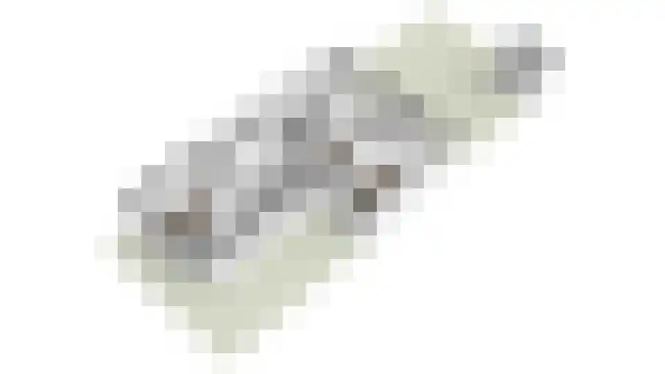 Alexander Vosmaerlaan 22 Bilthoven thumbnail 69