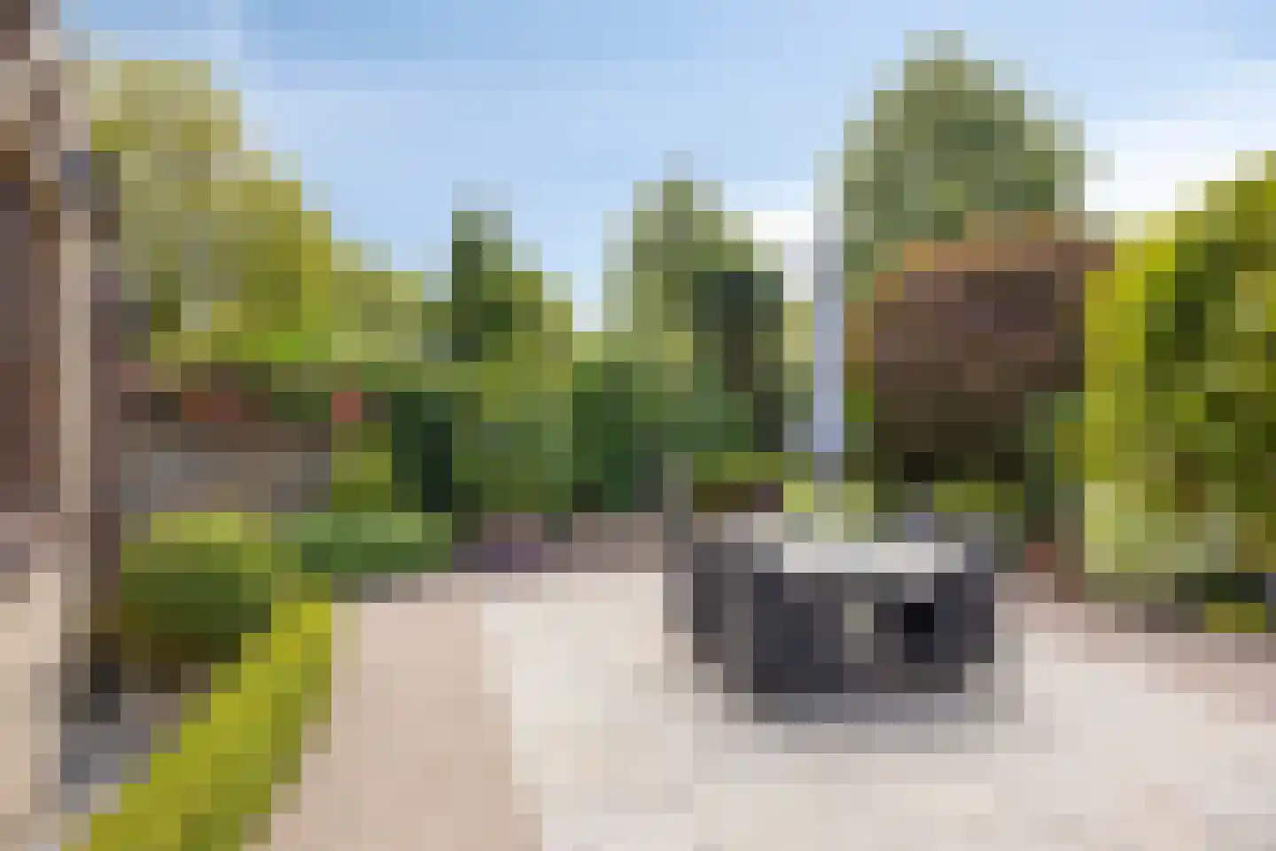 Alexanderdonk 3 Roosendaal thumbnail 32