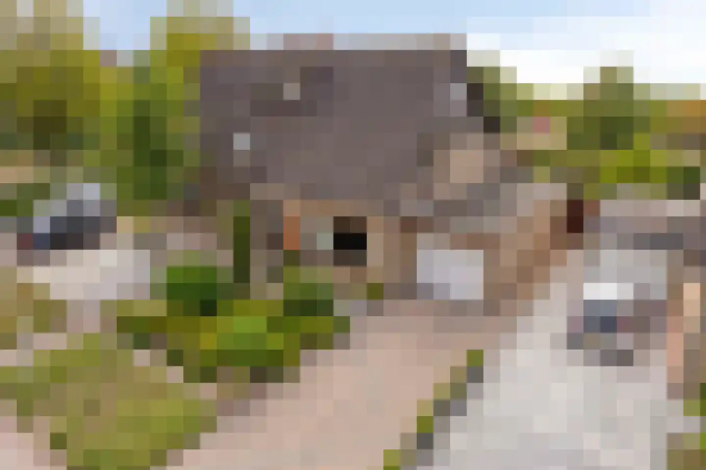 Alexanderdonk 3 Roosendaal thumbnail 34