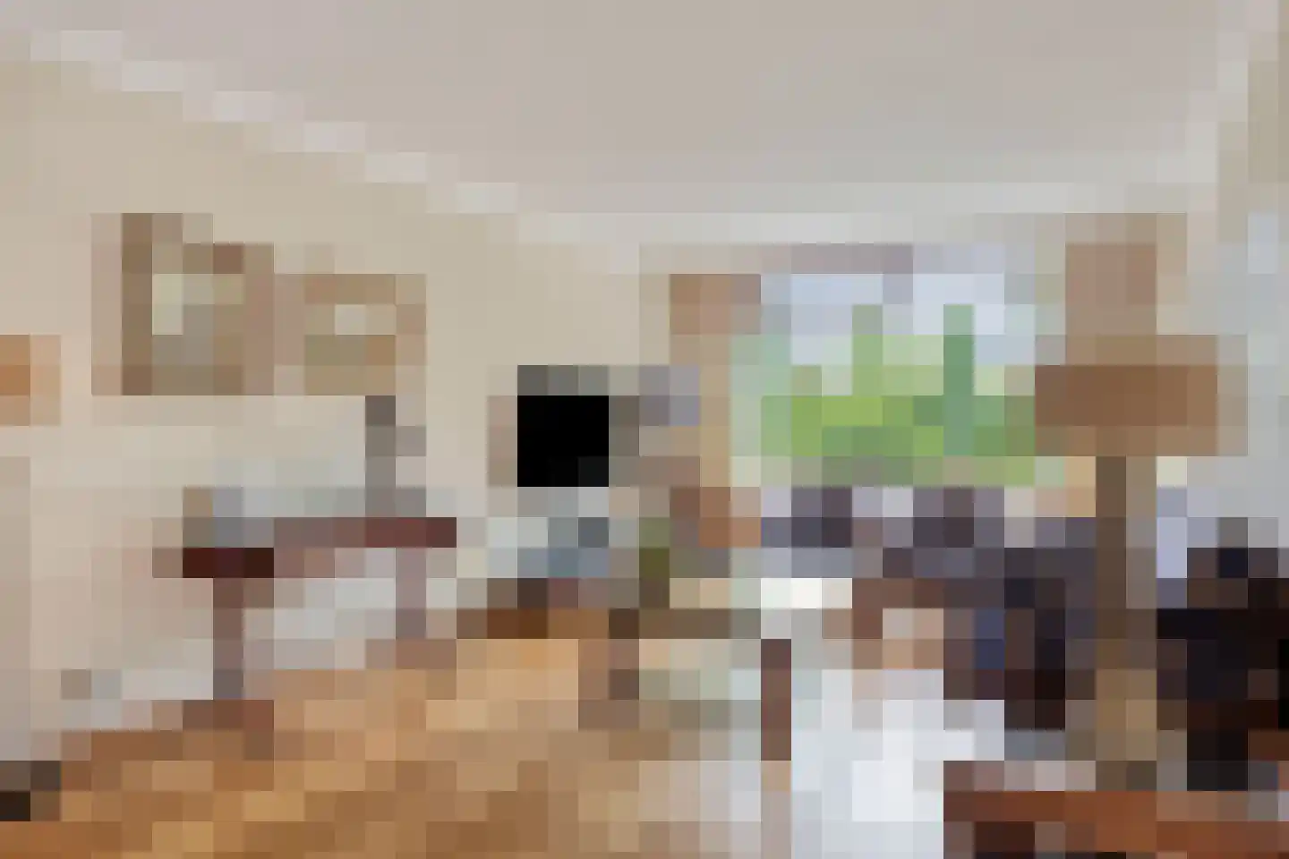 Alexanderdonk 3 Roosendaal thumbnail 8