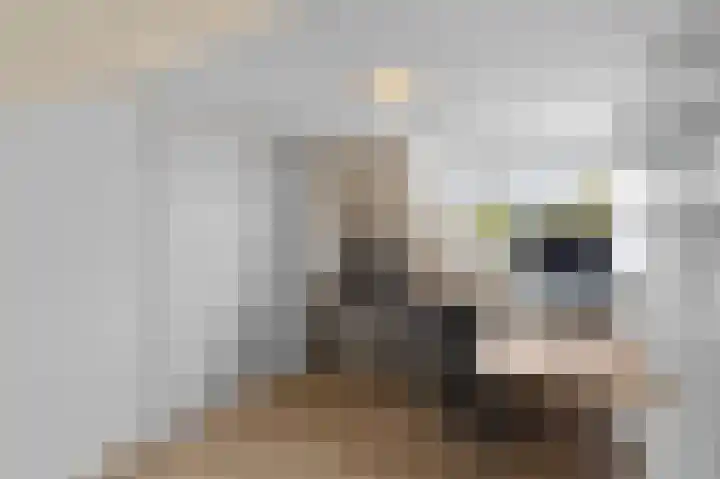 Alexanderdonk 30 Roosendaal thumbnail 35