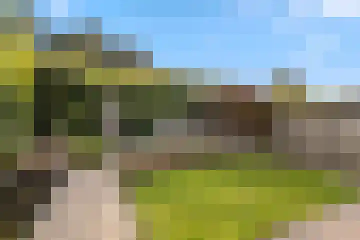 Alexanderdonk 30 Roosendaal thumbnail 40