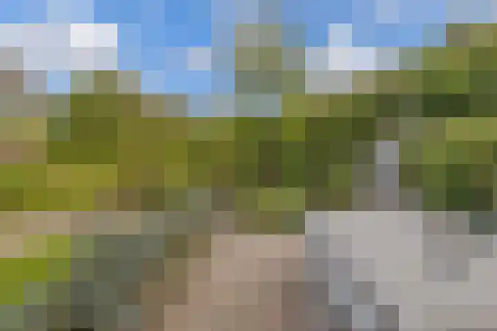 Alexanderdonk 30 Roosendaal thumbnail 42