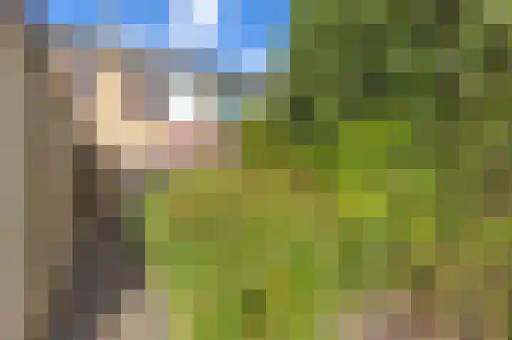 Alexanderdonk 30 Roosendaal thumbnail 43