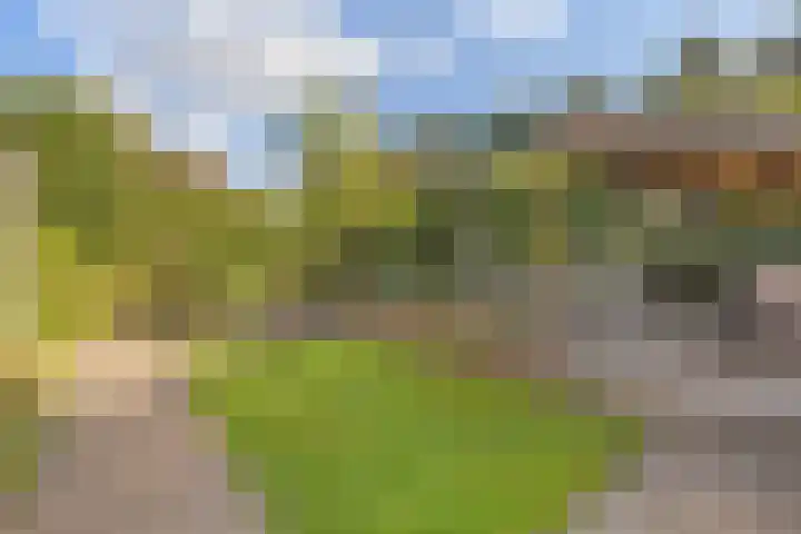Alexanderdonk 30 Roosendaal thumbnail 45