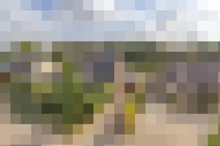 Alexanderdonk 30 Roosendaal thumbnail 49
