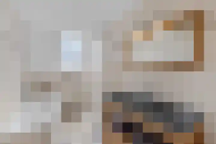 Alexanderdonk 30 Roosendaal thumbnail 5