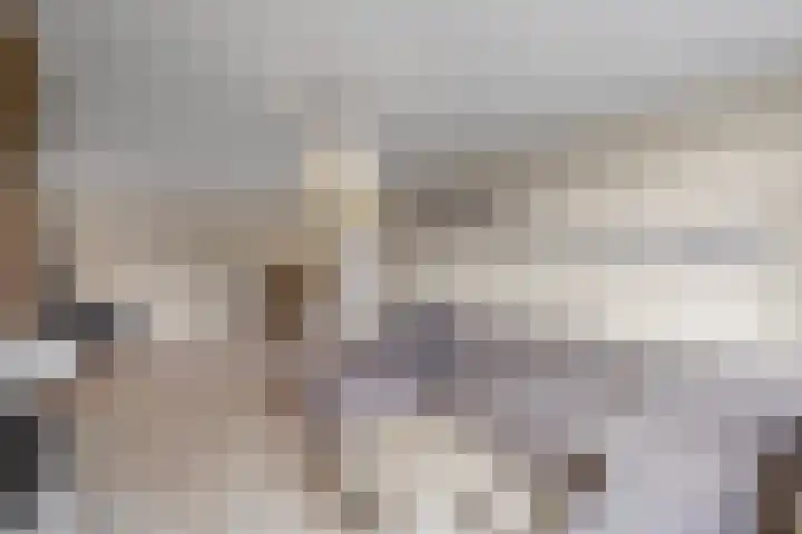 Alexanderdonk 30 Roosendaal thumbnail 8