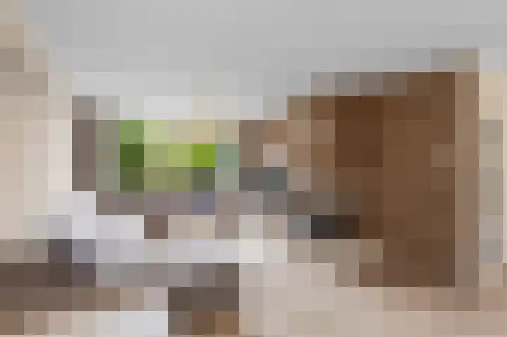 Alexanderdonk 30 Roosendaal thumbnail 9