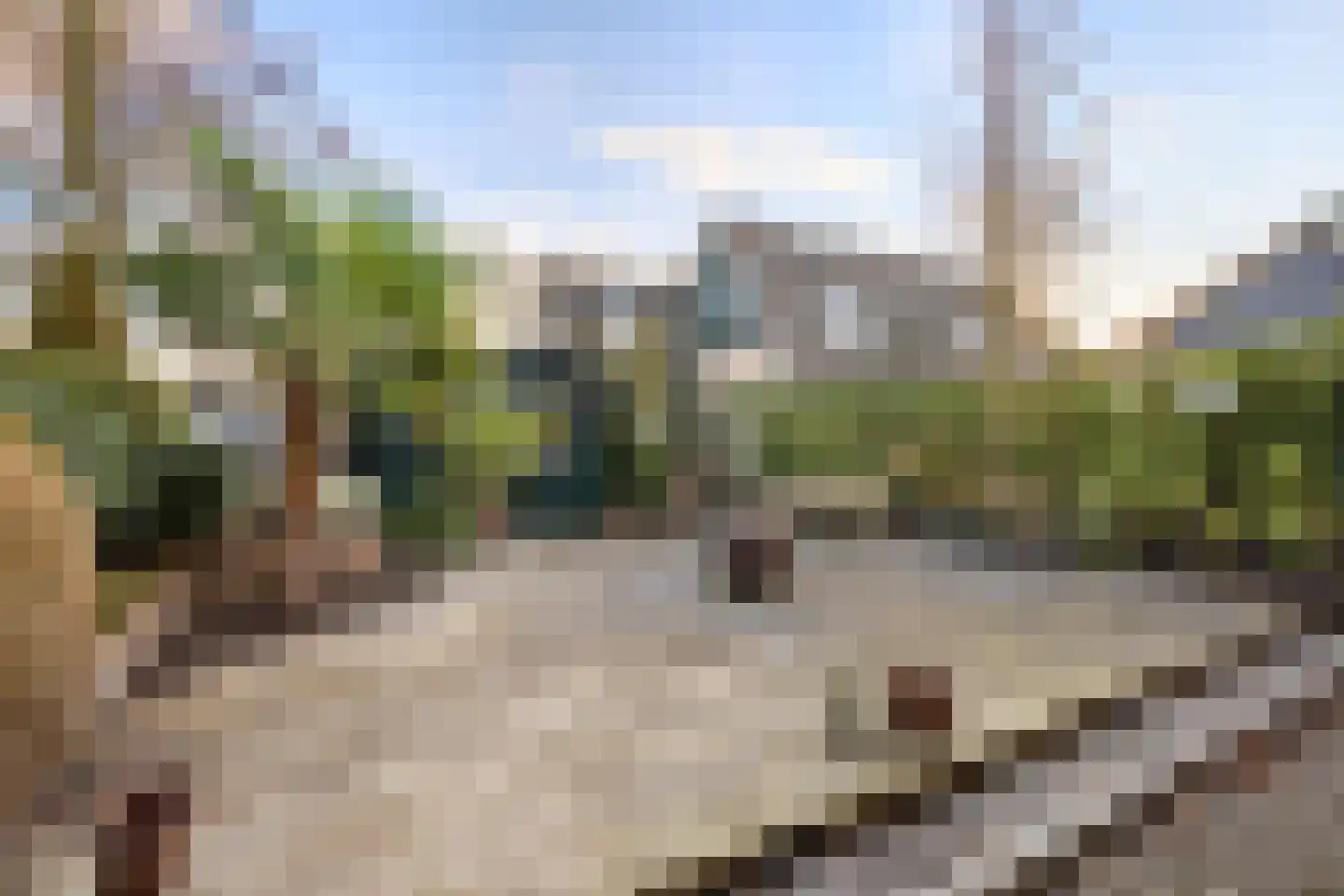 Alexanderdonk 49 Roosendaal thumbnail 47