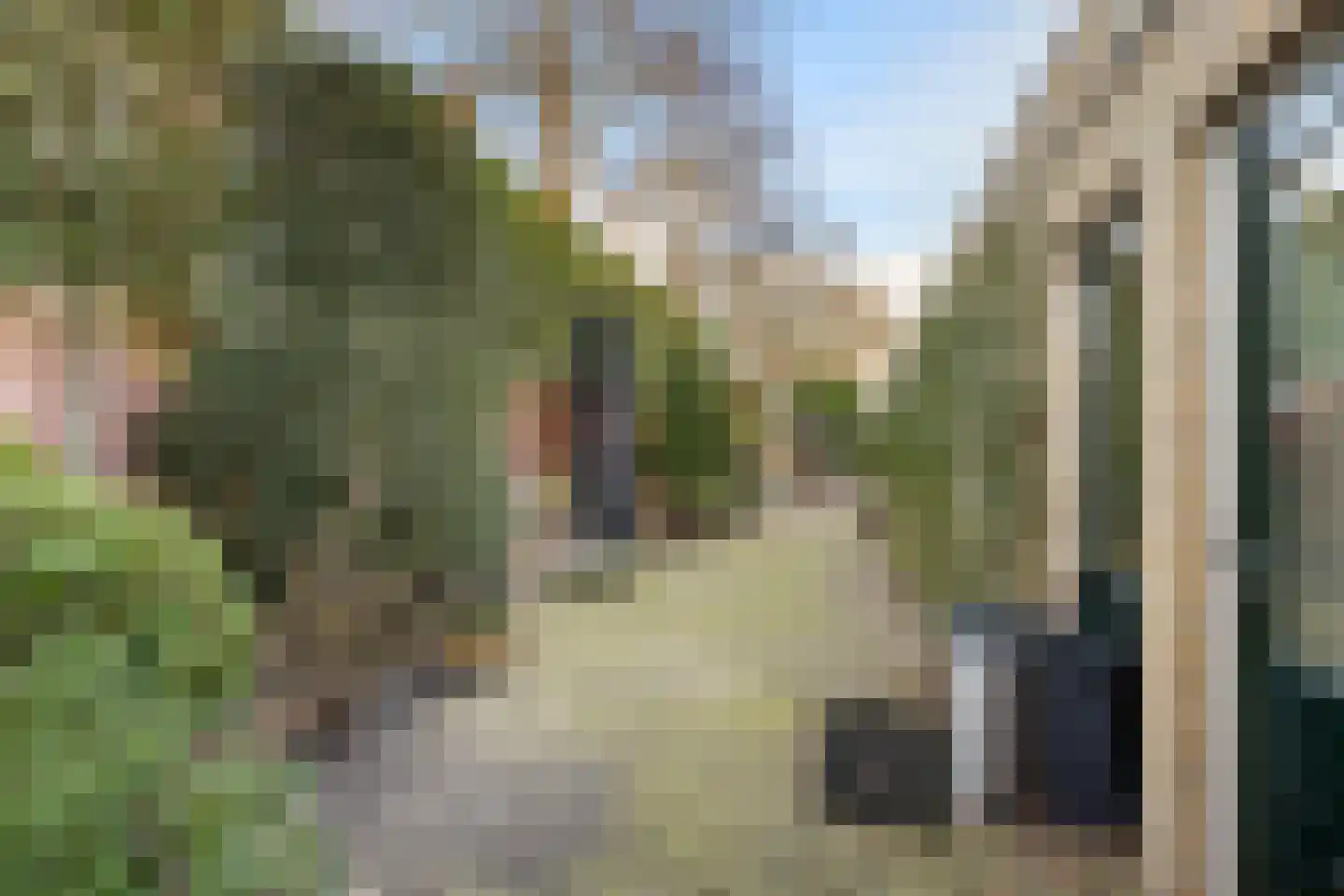 Alexanderdonk 49 Roosendaal thumbnail 50