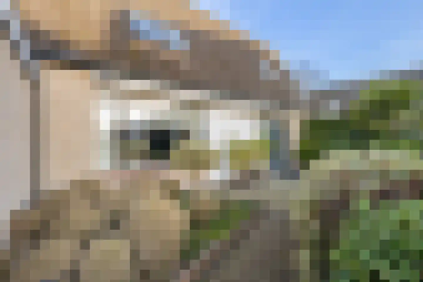 Alexanderdonk 49 Roosendaal thumbnail 54
