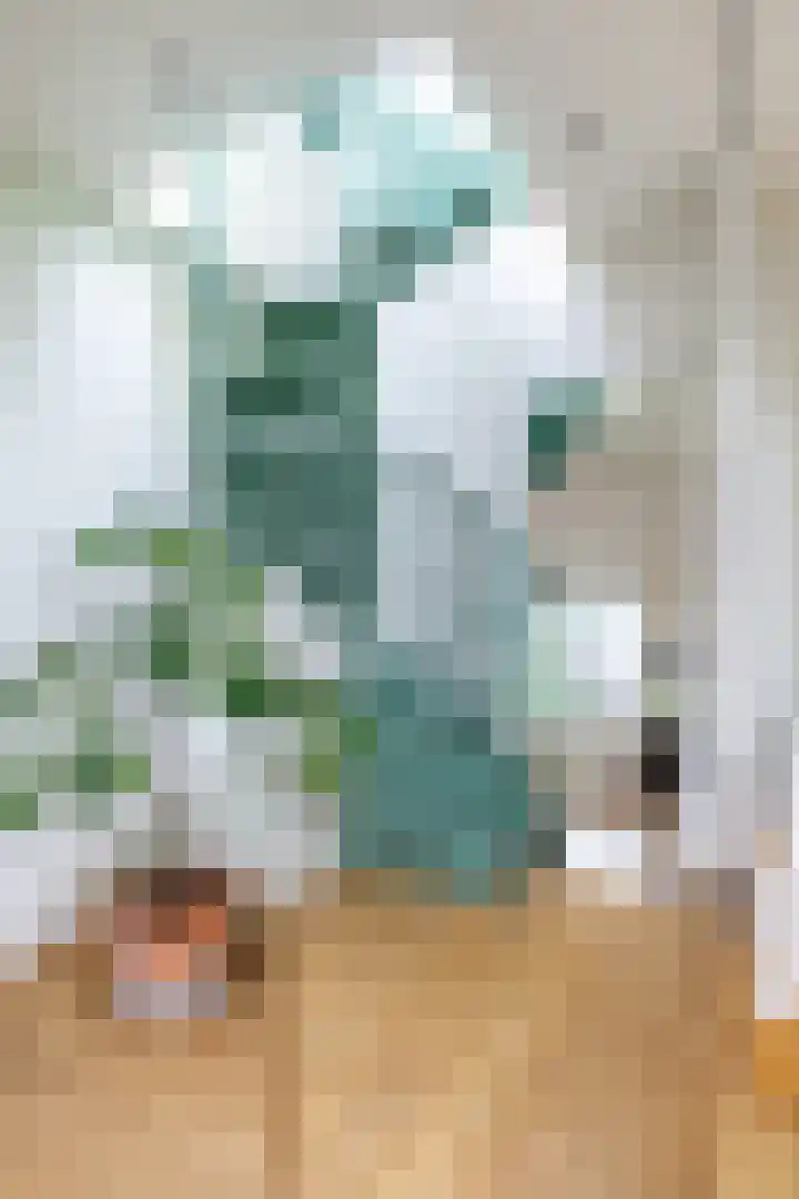 Alexanderkade 12 1 Amsterdam thumbnail 13
