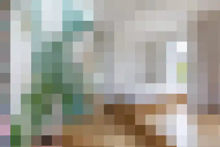 Alexanderkade 12 1 Amsterdam thumbnail 14