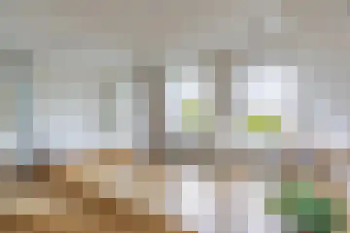 Alexanderkade 12 1 Amsterdam thumbnail 15