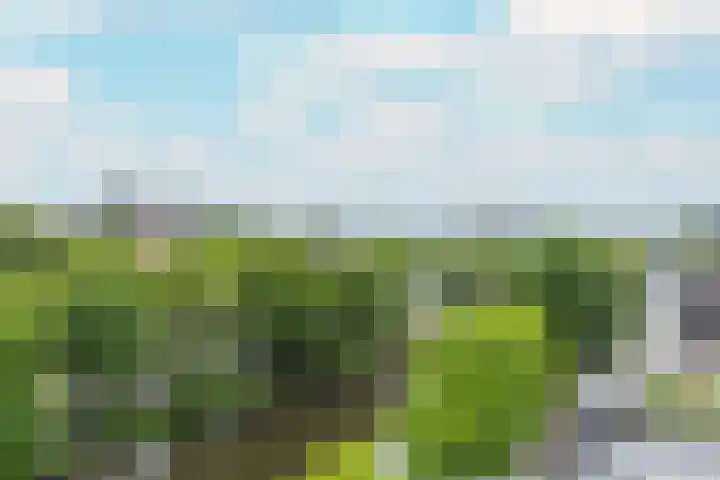 Alexanderkade 12 1 Amsterdam thumbnail 56