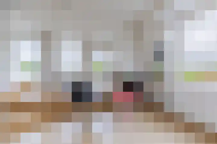 Alexanderkade 12 1 Amsterdam thumbnail 9