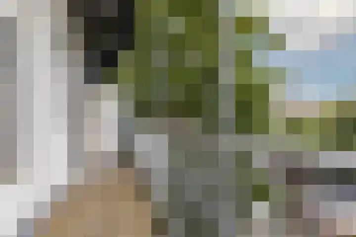 Alexanderkade 14 A Amsterdam thumbnail 16
