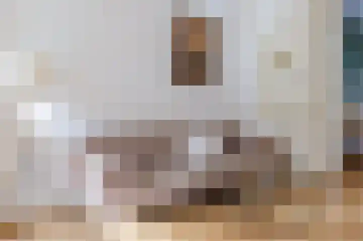 Alexanderkade 14 A Amsterdam thumbnail 19