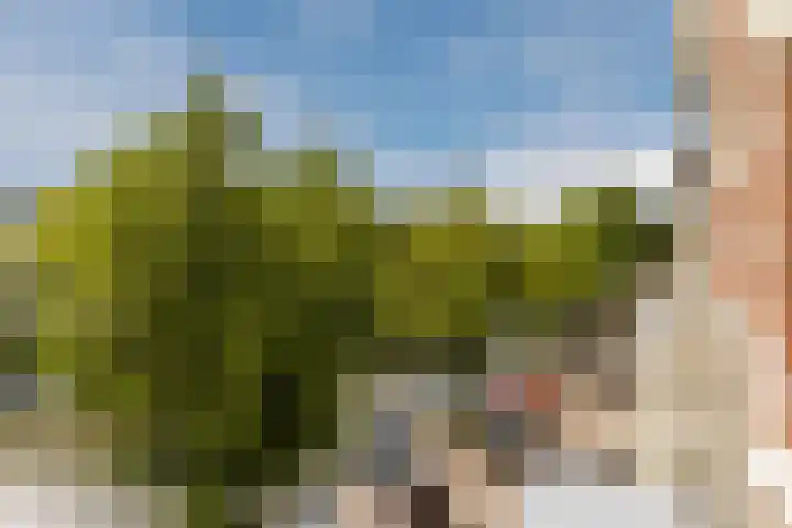 Alexanderkade 14 A Amsterdam thumbnail 23