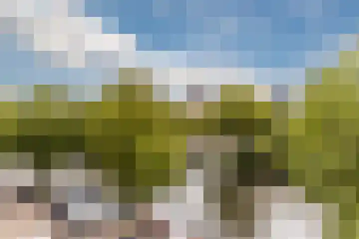 Alexanderkade 14 A Amsterdam thumbnail 24