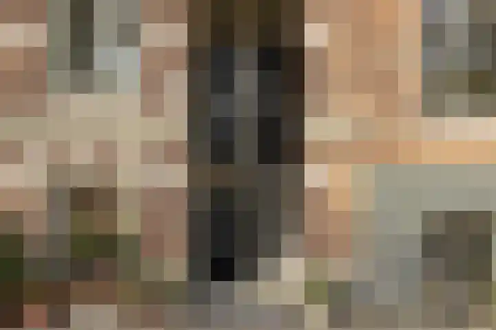 Alexanderkade 14 A Amsterdam thumbnail 6