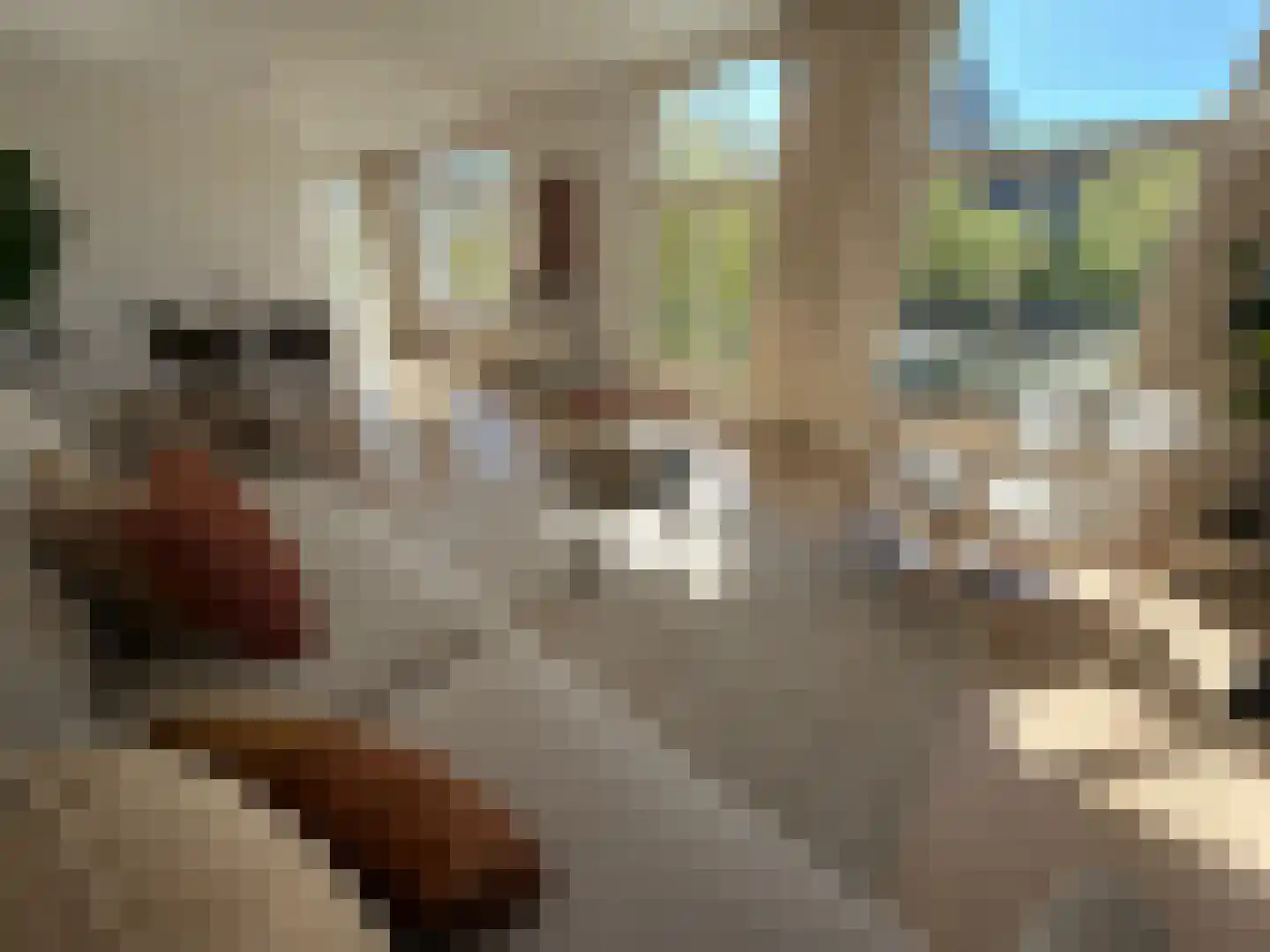 Alexanderkade 16 A Amsterdam thumbnail 13