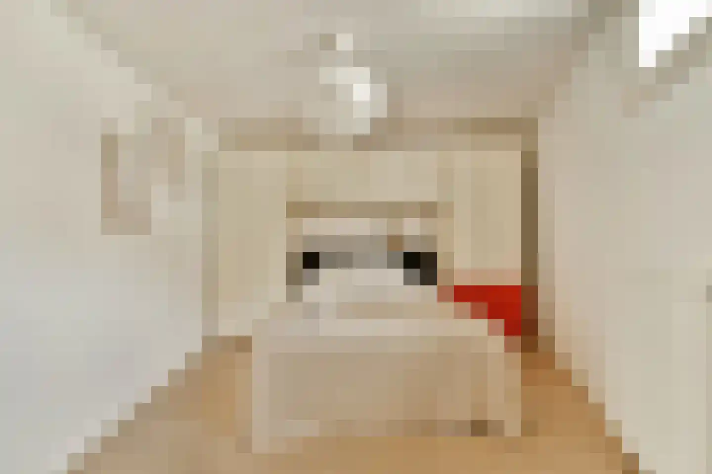 Alexanderkade 16 A Amsterdam thumbnail 19