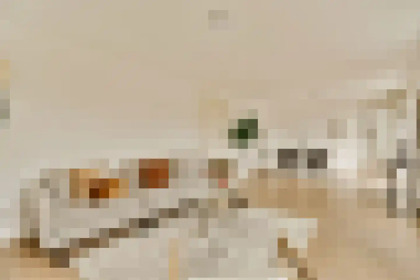 Alexanderkade 16 A Amsterdam thumbnail 6