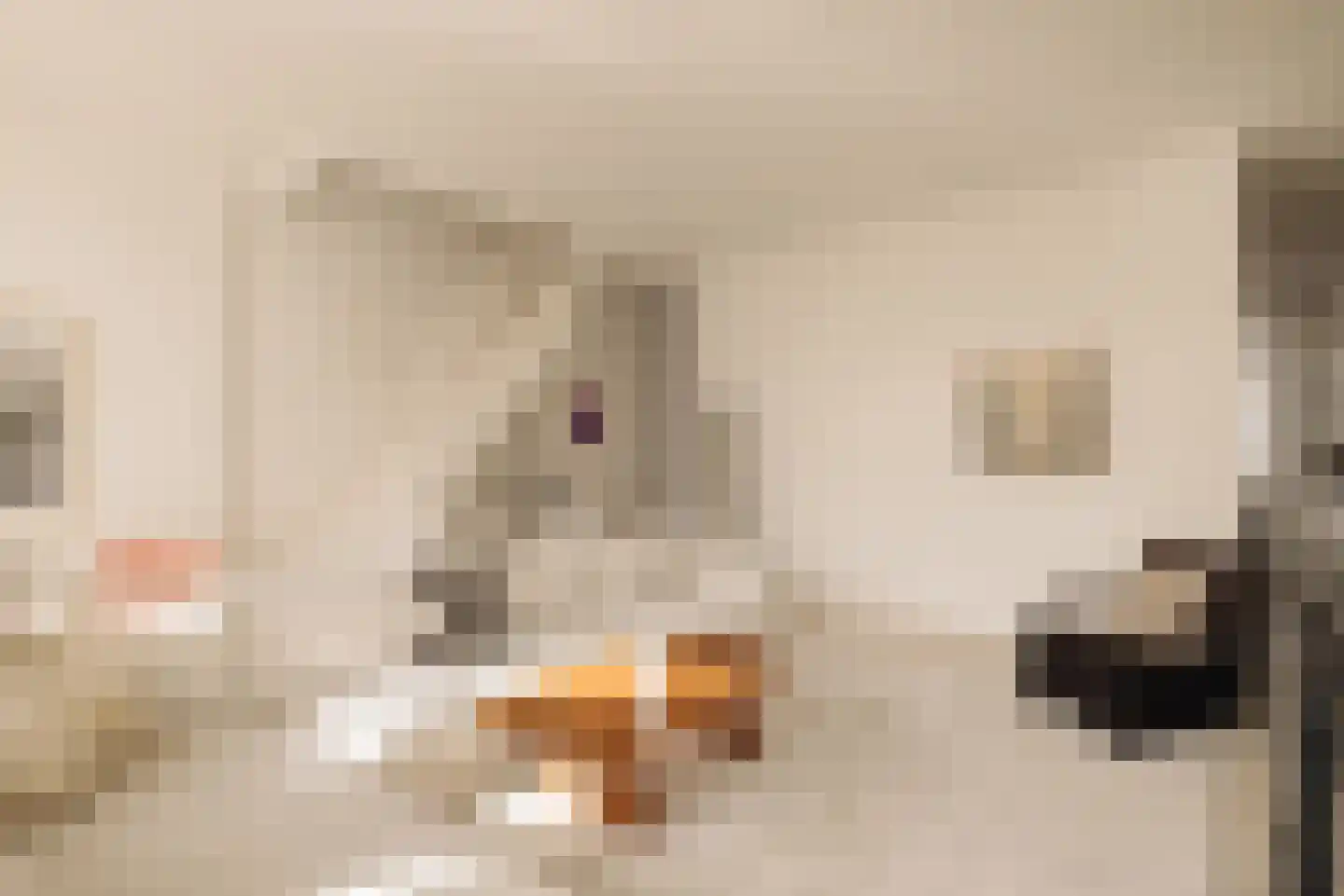 Alexanderkade 3 H Amsterdam thumbnail 14