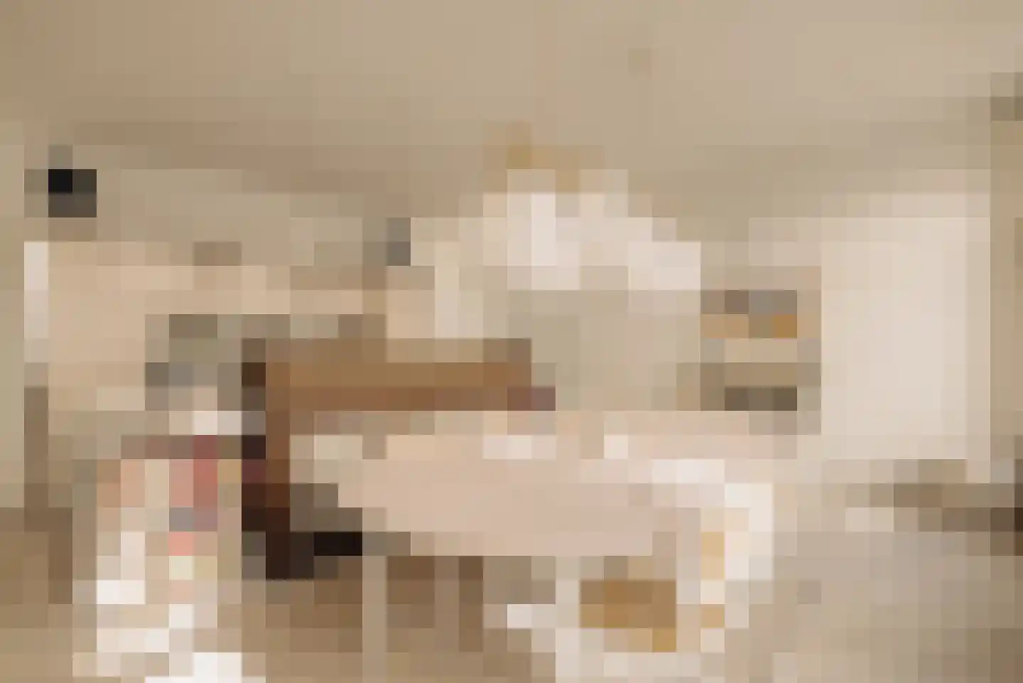 Alexanderkade 3 H Amsterdam thumbnail 17