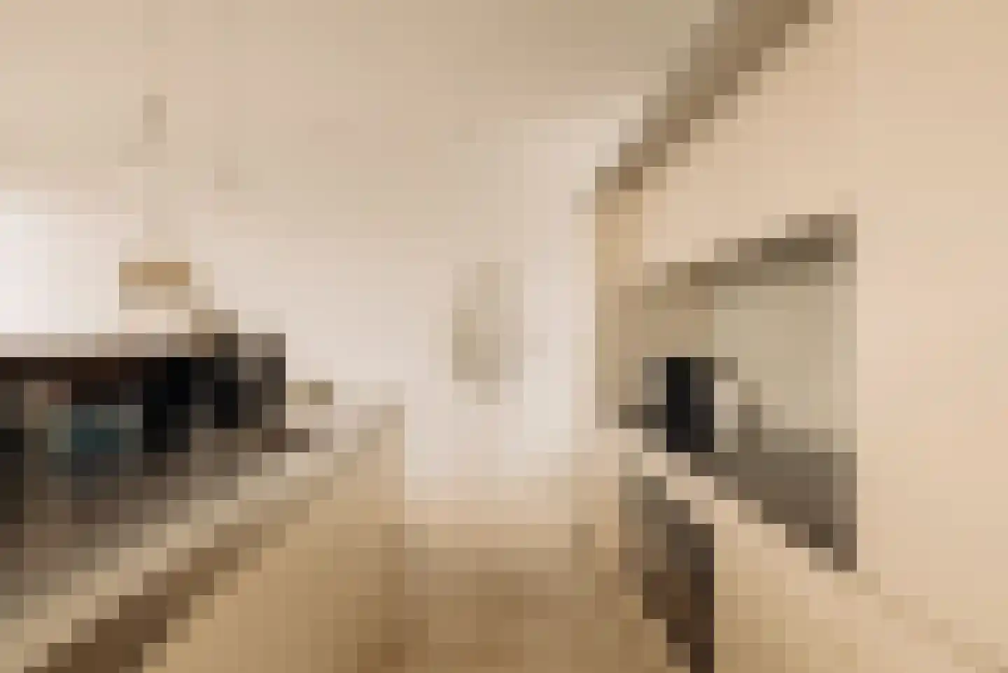 Alexanderkade 3 H Amsterdam thumbnail 18