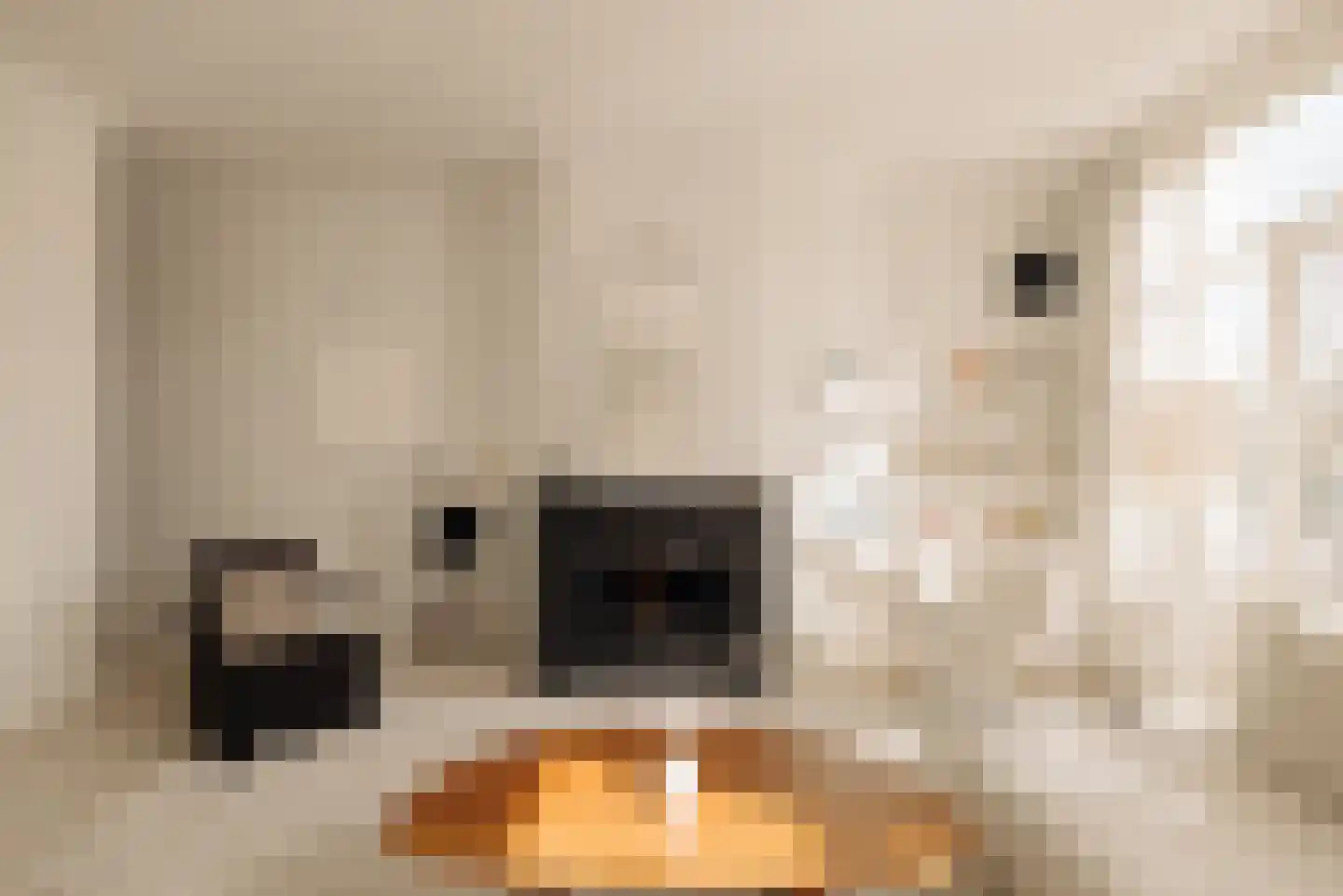 Alexanderkade 3 H Amsterdam thumbnail 4