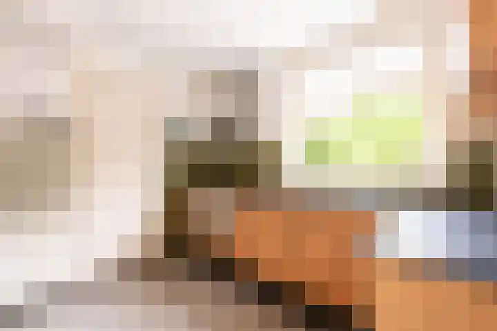 Alexanderlaan 12 Apeldoorn thumbnail 11