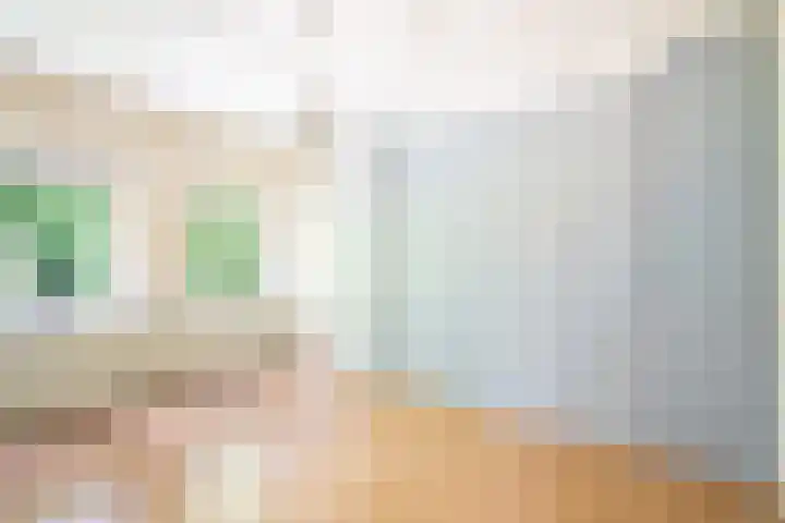 Alexanderlaan 12 Apeldoorn thumbnail 19