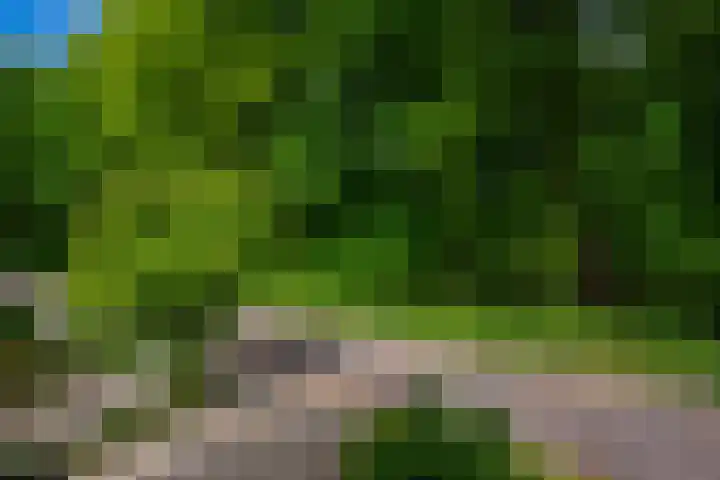 Alexanderlaan 12 Apeldoorn thumbnail 21