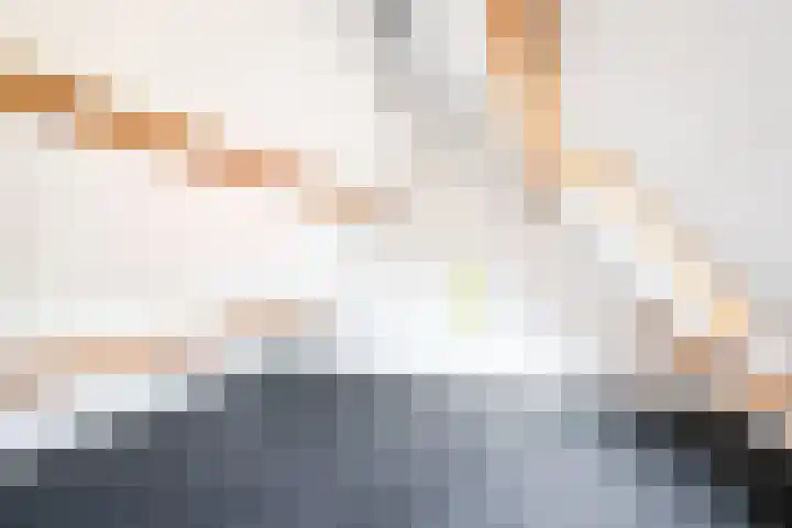 Alexanderlaan 12 Apeldoorn thumbnail 23