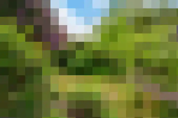 Alexanderlaan 12 Apeldoorn thumbnail 26