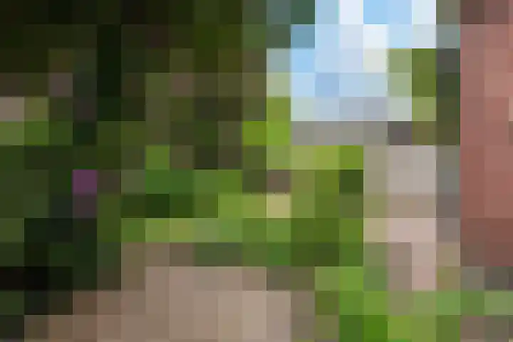 Alexanderlaan 12 Apeldoorn thumbnail 27