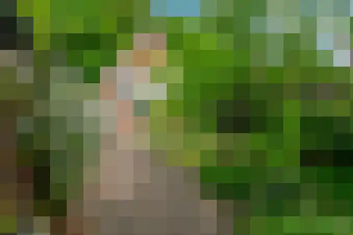 Alexanderlaan 12 Apeldoorn thumbnail 28