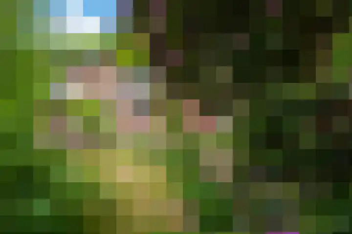 Alexanderlaan 12 Apeldoorn thumbnail 29