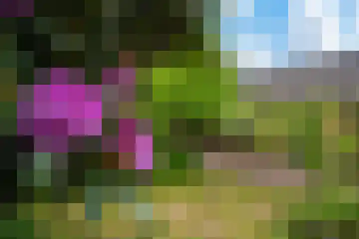 Alexanderlaan 12 Apeldoorn thumbnail 31