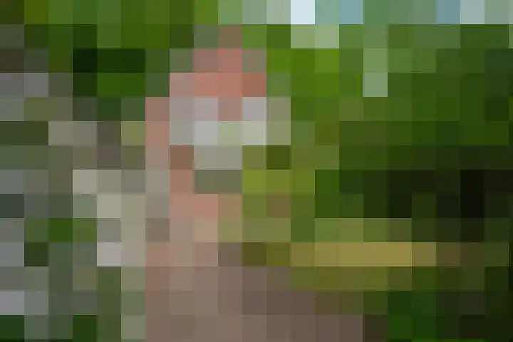 Alexanderlaan 12 Apeldoorn thumbnail 33