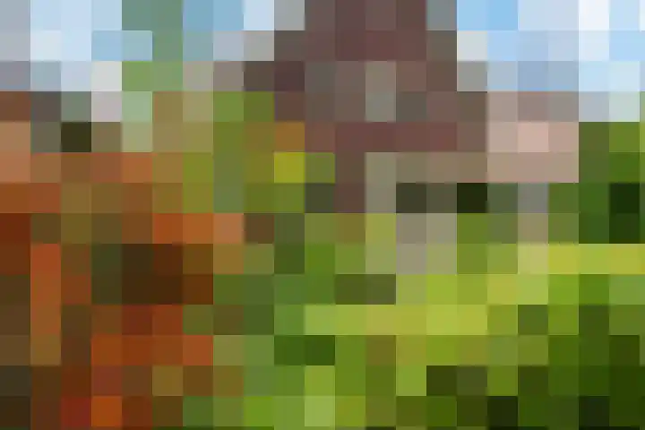 Alexanderlaan 12 Apeldoorn thumbnail 37
