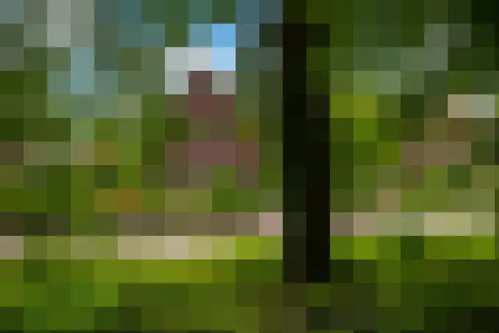 Alexanderlaan 12 Apeldoorn thumbnail 39