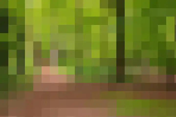 Alexanderlaan 12 Apeldoorn thumbnail 40