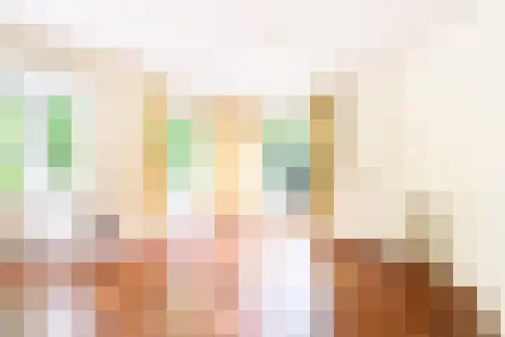 Alexanderlaan 12 Apeldoorn thumbnail 8