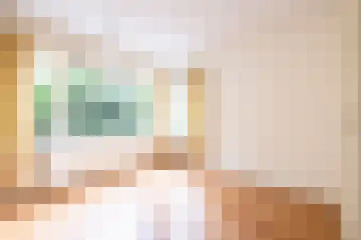 Alexanderlaan 12 Apeldoorn thumbnail 9