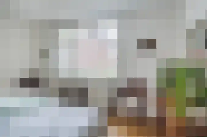 Alexanderlaan 16 Apeldoorn thumbnail 23