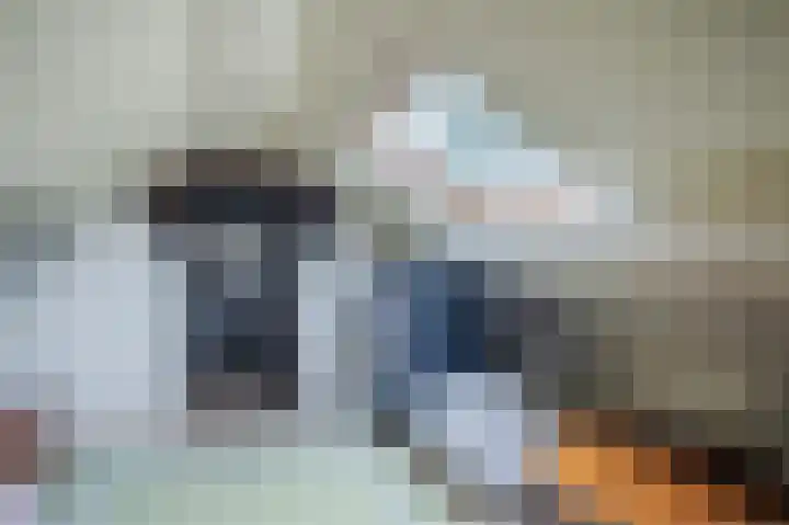 Alexanderlaan 16 Apeldoorn thumbnail 31